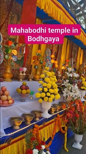 mahabodhi temple in Bodhgaya #bodhitree#菩提樹 #enlightenment #peac #ブッダガヤ #大菩提寺 #大塔 #お釈迦様#聖地 #巡礼#覚り#法要