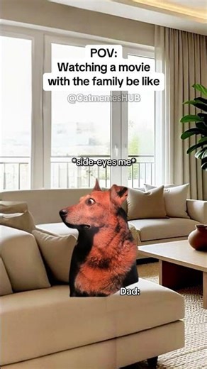 CAT MEMES 🐱Watching a movie with the family be like #catmemes #relatable #relationship