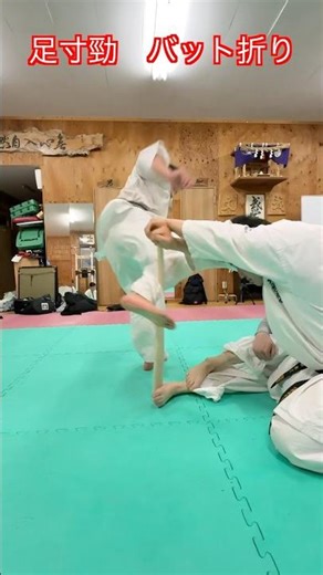 [Martial Arts] Is it possible to break a baseball bat with a foot strike?! We tried it!! #aikido ...