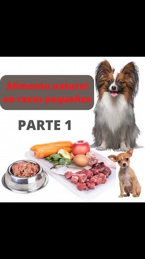 NO TE LO PIERDAS LA SEGUNDA PARTE. #barf #dietabarf #barfparaperros #alimentonatural #perros #razasdeperros #drbicho #parati #viral