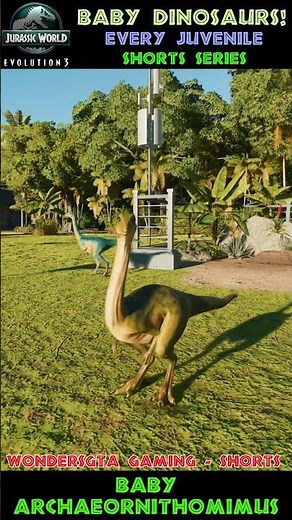 Baby Archaeornithomimus - Juvenile Dinosaur Series - JWE3 Showcase
