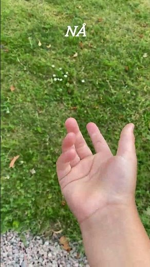 Nuddar gräs #grass #svenska #reality