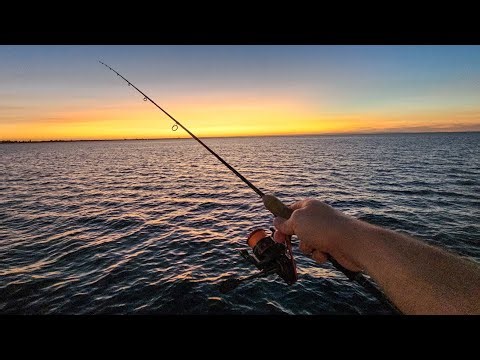 Amazing Squid Fishing | Busselton WA