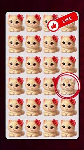 Find the Odd Cat 🐱 | Test Your Eyes in This Fun Quiz! #quiz #cat #shorts