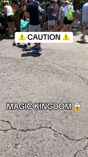 #magickingdom #disneyworld #disney #wdw #humor #disneyadult #themepark #familyfun #fyp #fyppppppppppppppppppppppp