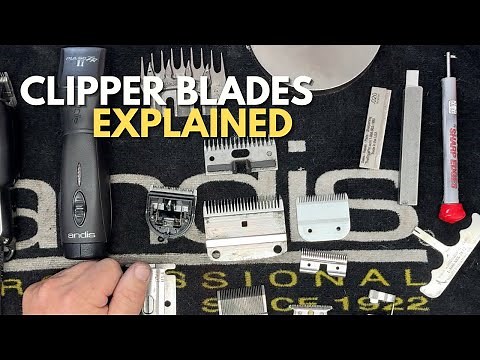 Different Styles of Clipper Blades (Basics)