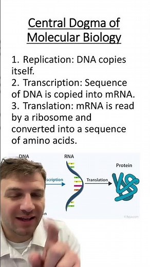 Central Dogma of molecular biology