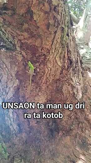 #facebookpostシ #hilights | Ester Lab