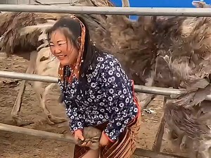 搞笑GIF合集（二）鸵鸟脑袋被门夹了