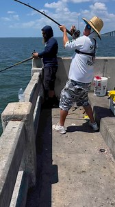 Grouper Mike Slaying The Gag Grouper! #skywaymisfits #Groupermike #fishlikemisfits #skywaybridge #bridgemasters #bridgefishing #reelqualitysrq #foodforthefeesh #Svcustom #sharkvato #gaggrouper #gag #gamakatsuhooks#bridgemonsters #seaguarfluorocarbon #tampabay #fish #fishing #fisherman #fishingislife #fishingaddict #fb #facebookviral #reelsfyp:/ #followersreels | Jay Way