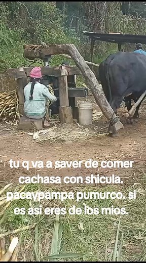 Traditional Cooking Method in a Rural Setting