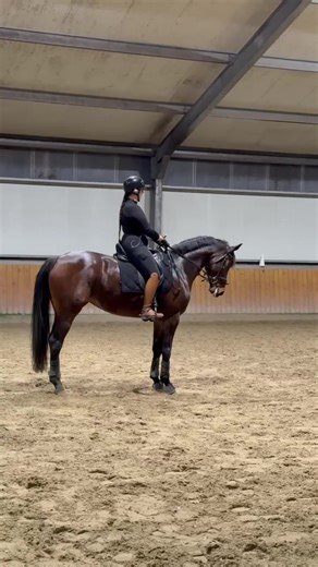 My golden girl 💛 Today we focussed on riding and improving our tests during out training with Geert-Jan. I’m so happy we did this, starting to look forward to our next competition 🤩 #competition #training #horse #equestrian #dressage