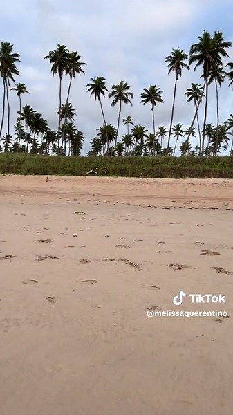 G R A T I T U D E 🌿