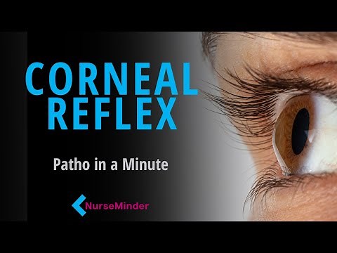 Corneal Reflex: Pathophysiology for Nurses (in a minute)