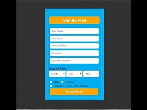 Complete SignUp Form with HTML and CSS