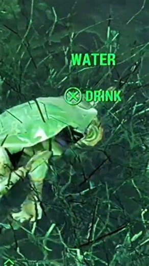 Spinning Mirelurk Hatchling Fallout 4