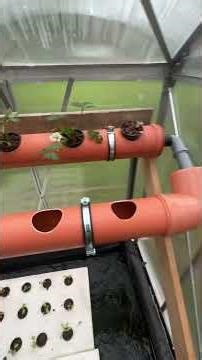 DIY Aquaponik von Anfang an. Schritt für Schritt Technik #ellidatech #aquaponik #nachhaltigkeit