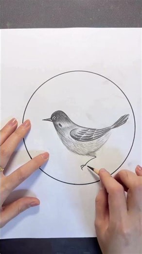 which one is best? abs art #art #drawing #youtubeshorts #sketch #shorts