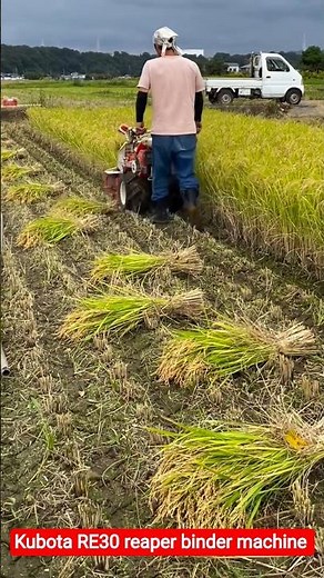 Kubota RE30 reaper binder machine 😱 #shorts #agriculture #farm