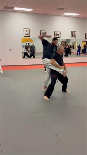 A great San Soo technique #martialarts #riverside #kungfu #fighting