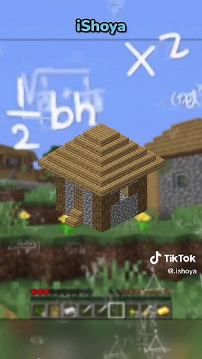 Minecraft Gameplay: The Disappearing Act