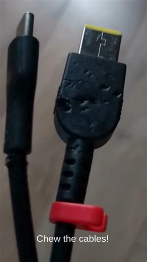 How to create your own game and get your dream job?!) #gamedev #indiegame #gamedevelopment