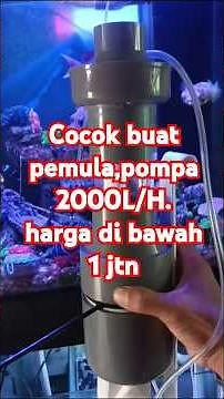 DIY protein skimmer test 2000L/H #proteinskimmer #marineaquarium #beginner