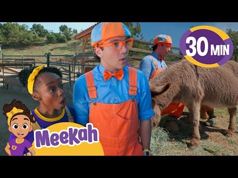 Blippi & Meekah Feed Farm Animals! 🐮🥕| Educational Videos for Kids | Blippi and Meekah Kids TV