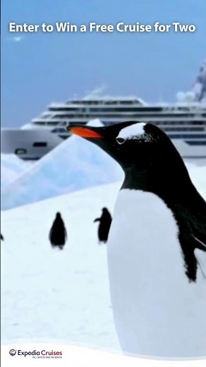 Viking Cruises Scottsdale | 30-Second Event Preview