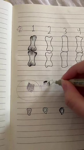 ‏how to shade in pen p2 #foryoupage #art #رسم