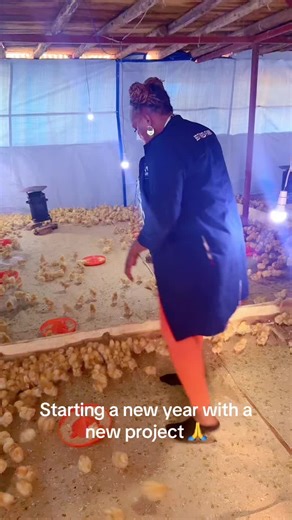 Kasirye Breeders Poultry M (@kasirye.breeders.p)’s videos with Thank You God (New Year Edition) - Sunvera Scott