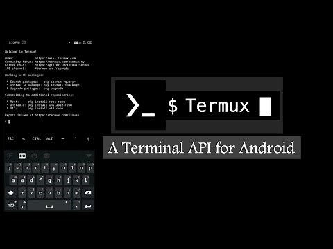 TERMUX: A Terminal API for Android