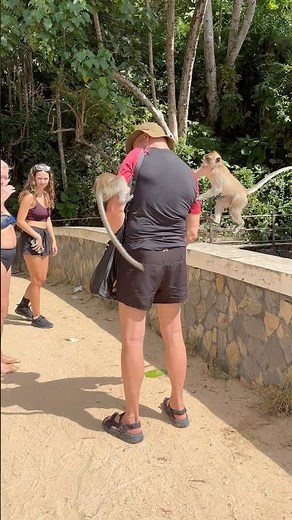 🐒 Ao Nang Monkey Trail – Cheeky Monkeys Steal a Man’s Bananas! 😂🌴