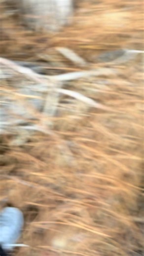 Other one was just not it