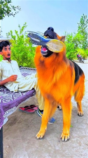 Allah Sent The Dog To Save Him 🥺🐕