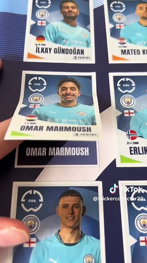 Completing My Panini Sticker Album Journey!