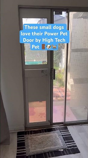 Training Made Easy 🐾 Smart Dog Door in Action | Try Risk-Free for 90 Days