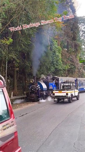 World Heritage Steam Toy Train #steam #engine #toy #train #dhr #railway #ytshorts #journey #travel