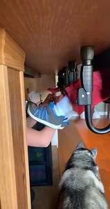 Parenting level: expert. | Rumble