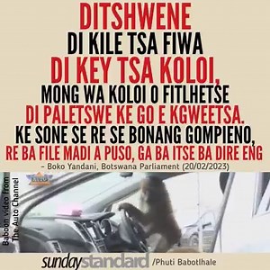 120K views · 4.6K reactions | Sunday Standard/ The Telegraph on Reels | Facebook