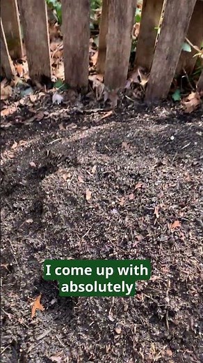 How to Compost: a Quick Guide