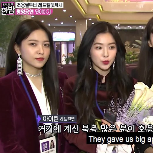 Red Velvet's Unusual Journey to North Korea: Irene Fan Reactions and More