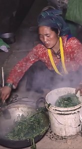 306K views · 1.1K reactions | A documentary about traditional settlements #life #way #living #fypシ゚ #intrigued #exploration #family #nomad #nomadlife #nomadlifestyle | Nature Cooking | Facebook