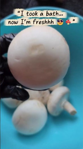 How to Clean Mushrooms Like a PRO 💯🍄
