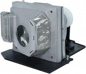 for InFocus X10 Projector Lamp (Original Philips Bulb Inside)