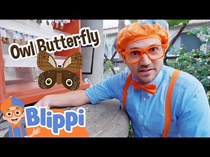 Blippi Meets the Owl Butterfly! 🦋👀 | Educational Videos For Kids | Moonbug Kids - Get Up And Go!