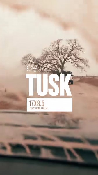  ATTENTION JEEP AND TACOMA DRIVERS: Upgrade your ride with the all-new Tusk wheel from Black Rhino Wheels. This one-piece, monoblock wheel features a contoured and tapered multi-spoke design with a removable rock-guard ring for protection when off-roading. Available in four finishes: ⚫️ Gloss Black  Matte Gunmetal  Olive Drab Green  Matte Gold with Machined Ring Which finish are you rocking? Contact us to order your set today! | America's Tire | Facebook