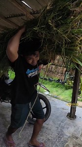 Ko iso iso ne | Okka Chanel