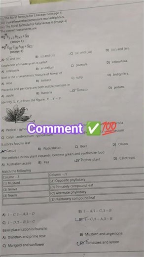 class 11th biology chapter morphology #questionbank