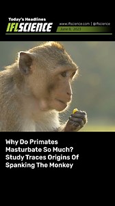 30K views · 45 reactions | Read more at iflscience.com | IFLScience | Facebook